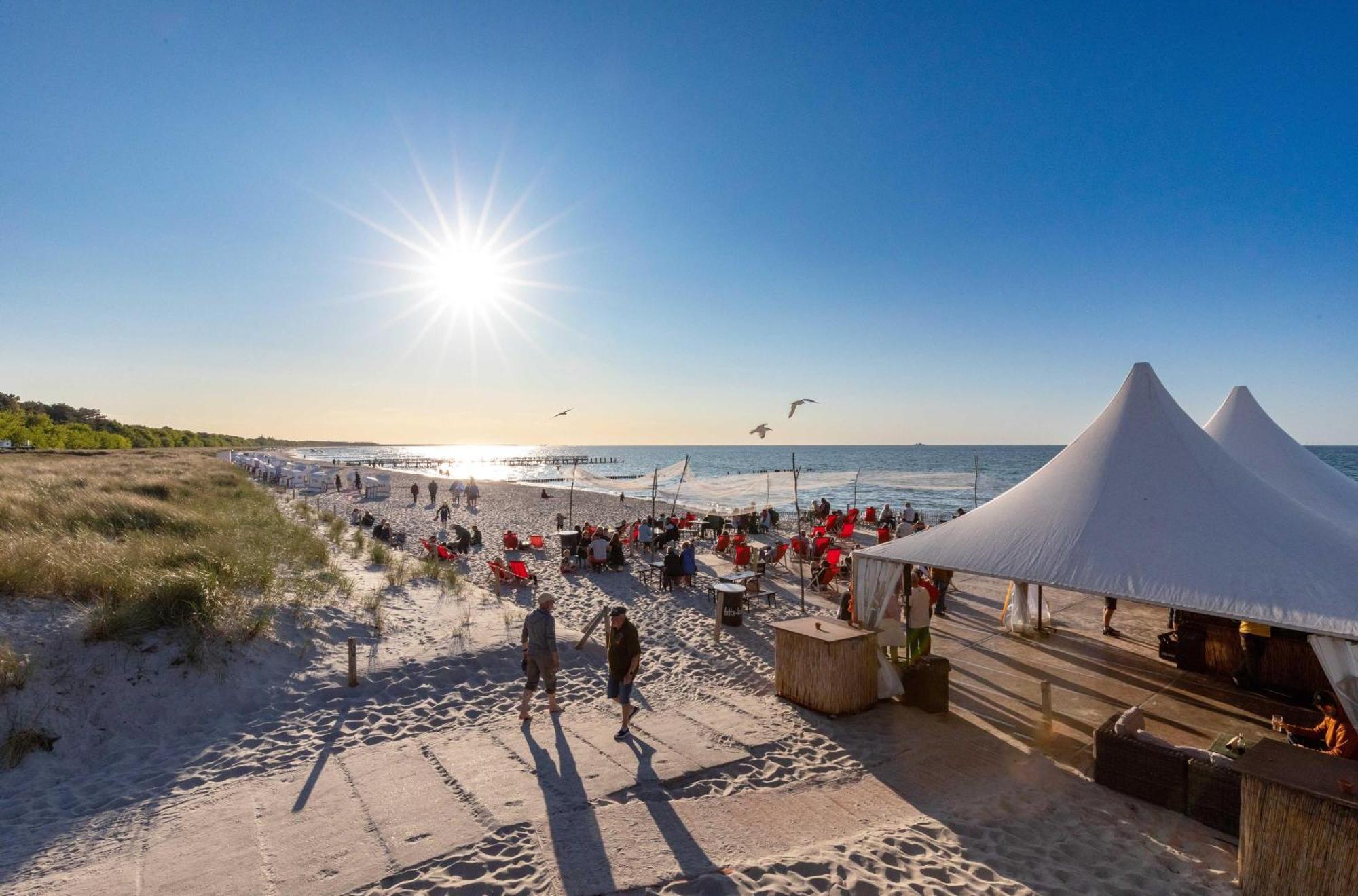 Krosse Krabbe An Der Seebruecke Zingst Zewnętrze zdjęcie